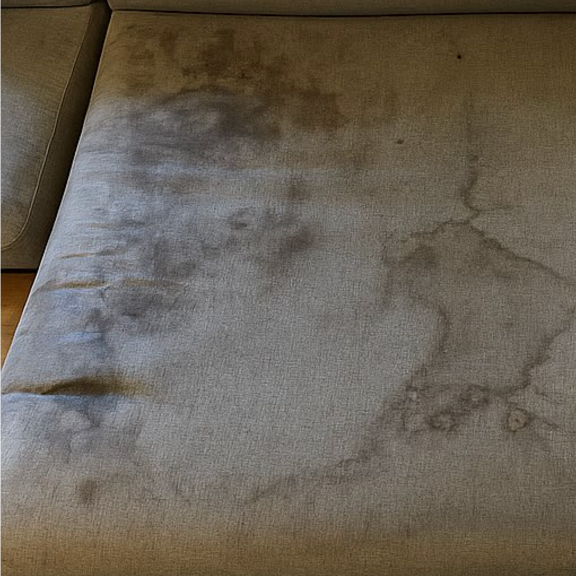 rens-af-sofa1